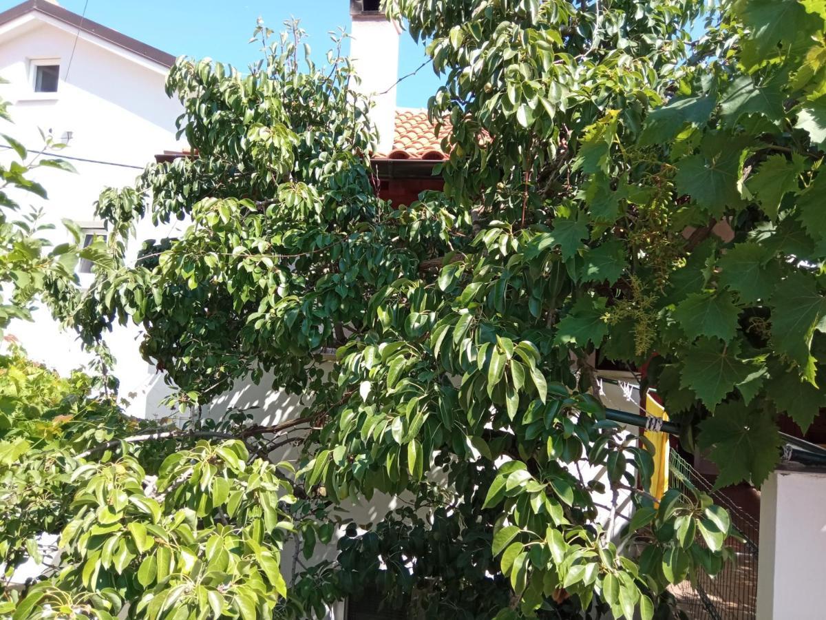 Apartments Antares Mali Lošinj Екстериор снимка